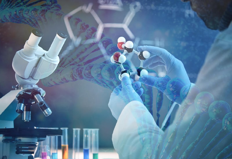 Biotechnology & Biopharmaceutical